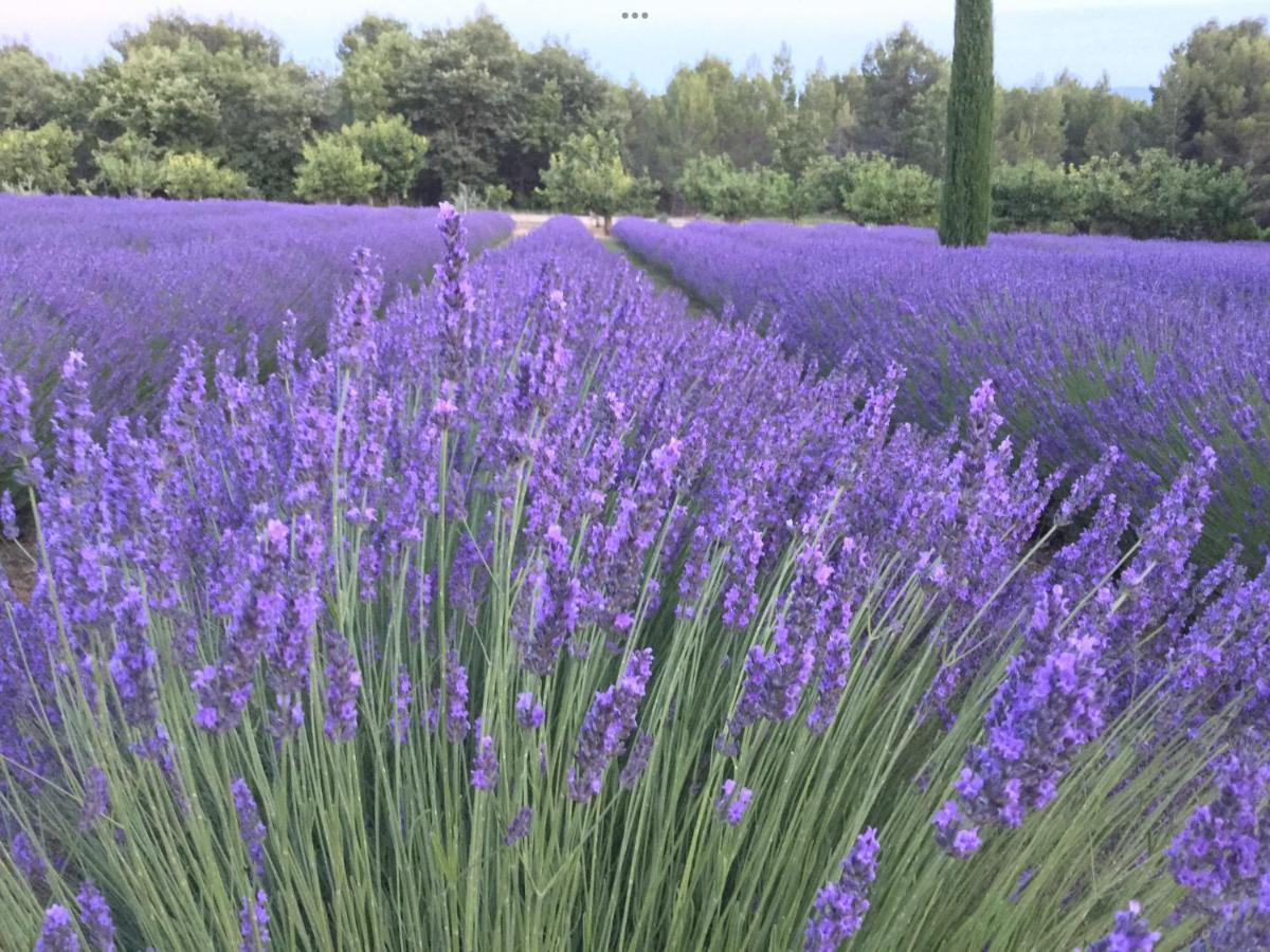 Lovely Views In Secret Provence ฌูกา ภายนอก รูปภาพ